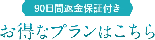 90日間返金保証付き お得なプランはこちら